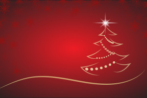 Wij wensen iedereen hele fijne Kerstdagen en een mooie jaarwisseling! ?